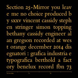Image of Section 25 - Mirror