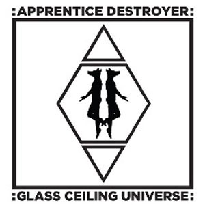 Image of Apprentice Destroyer - Glass Ceiling Universe