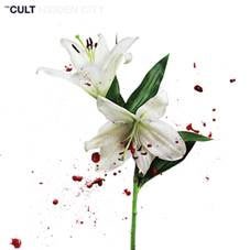 Image of The Cult - Hidden City