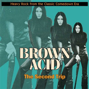 Image of Various Artists - Brown Acid: The Second Trip