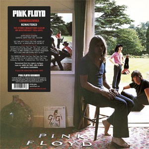 Image of Pink Floyd - Ummagumma - Vinyl Edition
