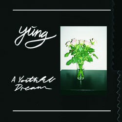 Image of Yung - A Youthful Dream