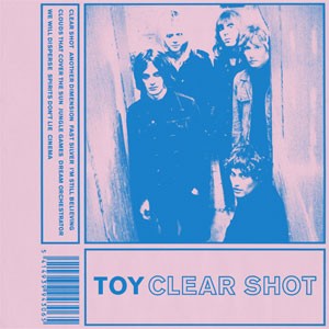 Image of Toy - Clear Shot