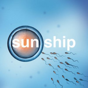 Image of Brian Jonestown Massacre - The Sun Ship
