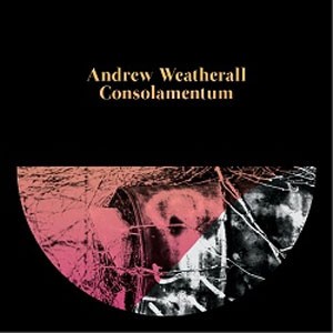 Image of Andrew Weatherall - Consolamentum