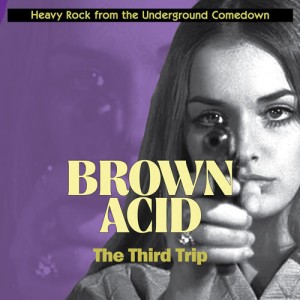 Image of Various Artists - Brown Acid: The Third Trip