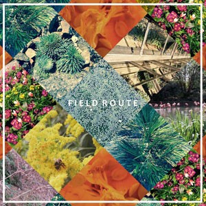 Image of Field Route - Field Route EP