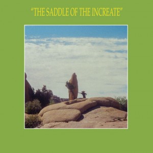 Image of Sun Araw - The Saddle Of The Increate