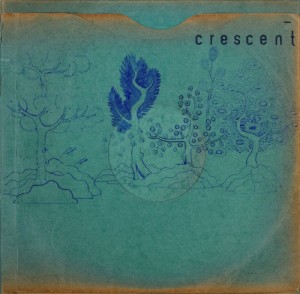 Image of Crescent - Resin Pockets
