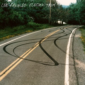 Image of Lee Ranaldo - Electric Trim