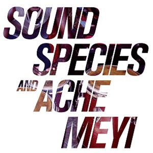 Image of Soundspecies & Ache Meyi - Soundspecies & Ache Meyi