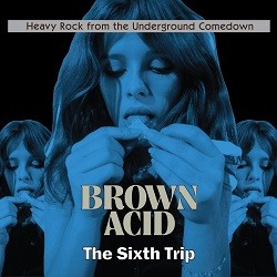 Image of Various Artists - Brown Acid: The Sixth Trip