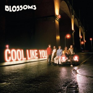 Image of Blossoms - Cool Like You