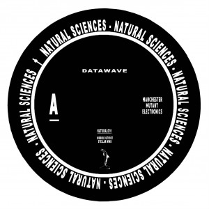 Image of Datawave - Datawave