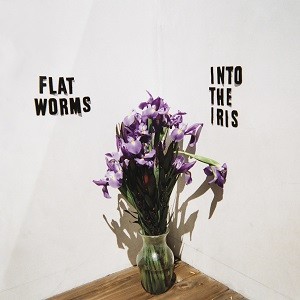 Image of Flat Worms - Into The Iris