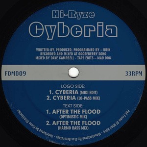 Image of Hi-Ryze - Cyberia / After The Flood