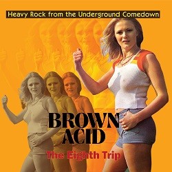 Image of Various Artists - Brown Acid: The Eighth Trip