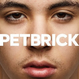 Image of Petbrick - I
