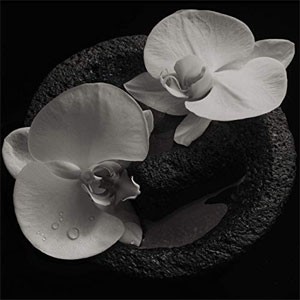 Image of Mike Patton & Jean-Claude Vannier - Corpse Flower