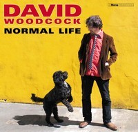 Image of David Woodcock - Normal Life
