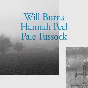 Image of Will Burns & Hannah Peel - Pale Tussock
