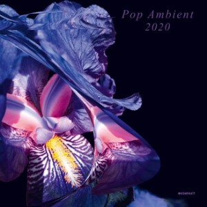 Image of Various Artists - Pop Ambient 2020