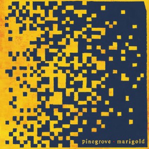 Image of Pinegrove - Marigold