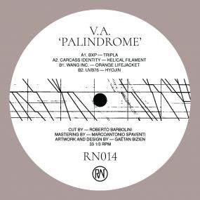 Image of Various Artists - Palindrome