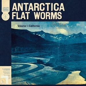 Image of Flat Worms - Antarctica