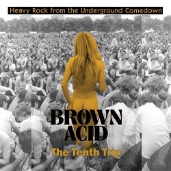 Image of Various Artists - Brown Acid : The Tenth Trip