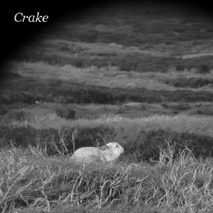 Image of Crake - Enough Salt (For All Dogs) / Gef