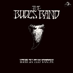 Image of The Budos Band - Long In The Tooth