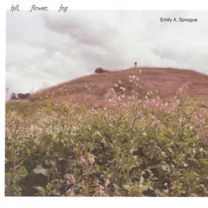 Image of Emily A Sprague - Hill, Flower, Fog