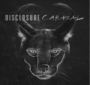 Image of Disclosure - Caracal