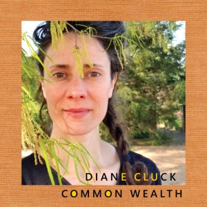 Image of Diane Cluck - Common Wealth