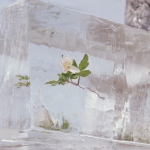 Image of Efterklang - Windflowers