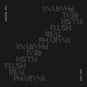 Image of Lee Gamble - Flush Real Pharynx 2019-2021