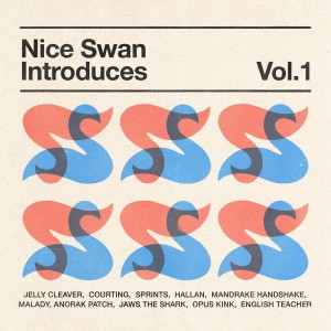 Image of Various Artists - Nice Swan Introduces Vol.1