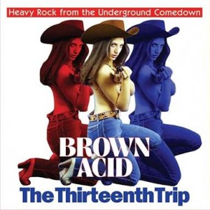 Image of Various Artists - Brown Acid: The Thirteenth Trip