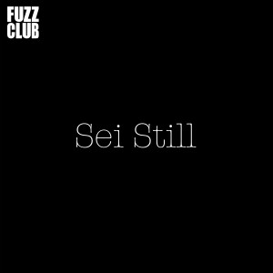 Image of Sei Still - Fuzz Club Session