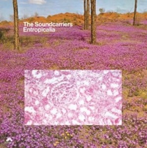 Image of The Soundcarriers - Entropicalia - 2022 Reissue
