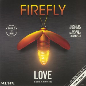 Image of Fire Fly - Love Is Gonna Be On Your Side - Remixes