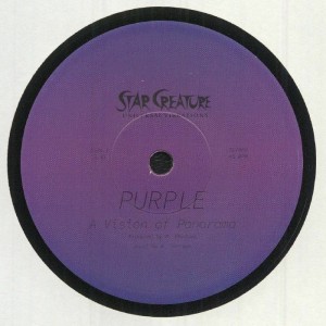 Image of A Vision Of Panorama - Purple