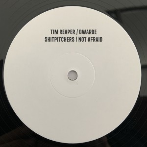 Image of Dwarde / Tim Reaper - Not Afraid / Shiftpitchers