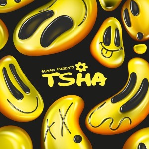Image of Various Artists - Fabric Presents TSHA