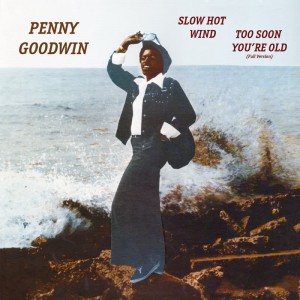 Image of Penny Goodwin - Slow Hot Wind