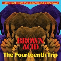 Image of Various Artists - Brown Acid: The Fourteenth Trip