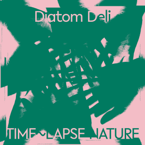 Image of Diatom Deli - Time~Lapse Nature