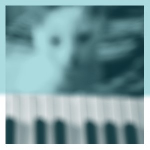 Image of Peter Broderick - Piano Works Vol. 1