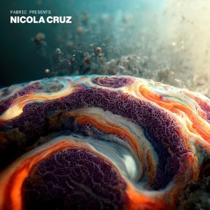 Image of Various Artists - Fabric Presents Nicola Cruz